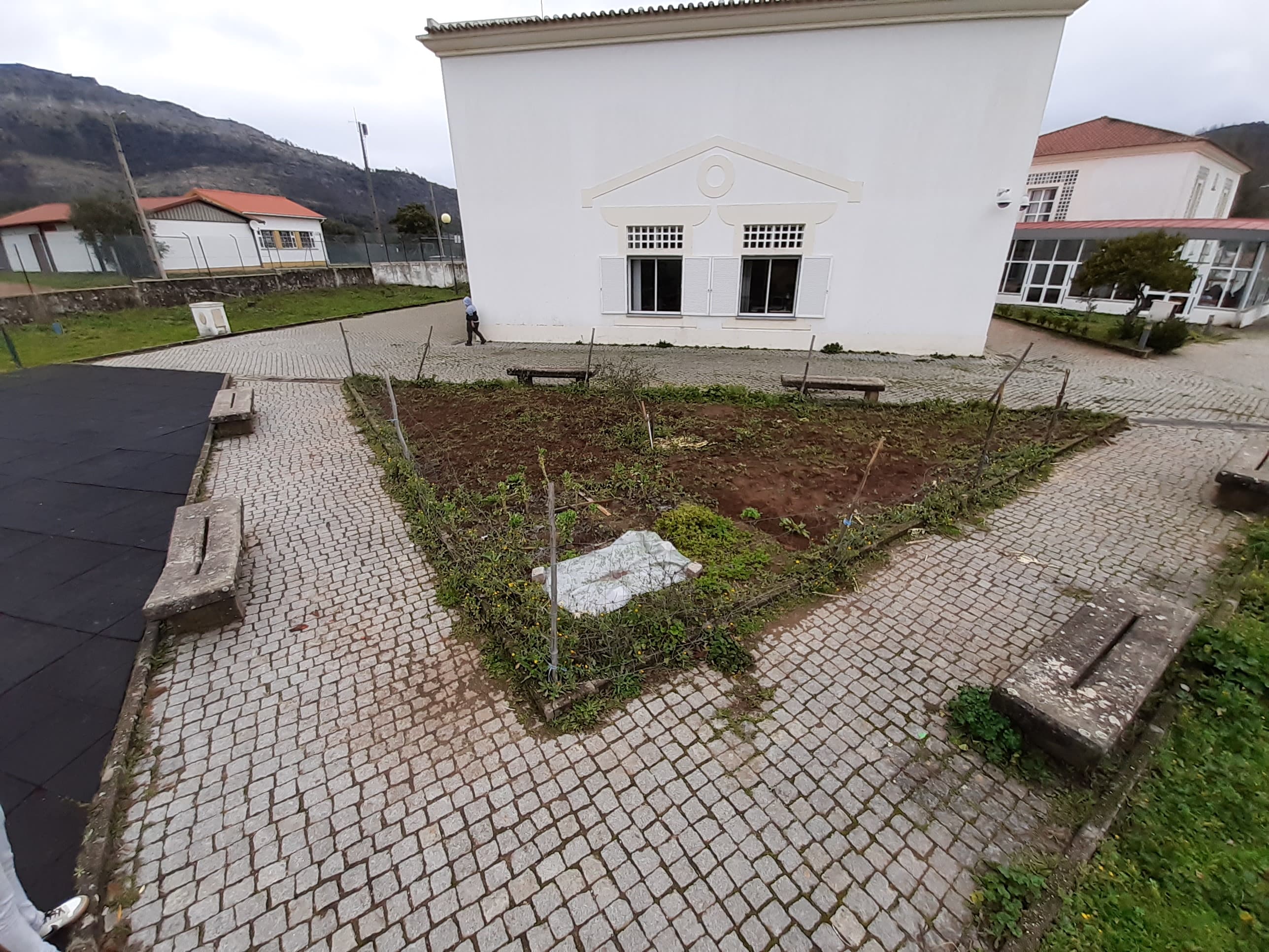 Panorâmica da nossa horta.