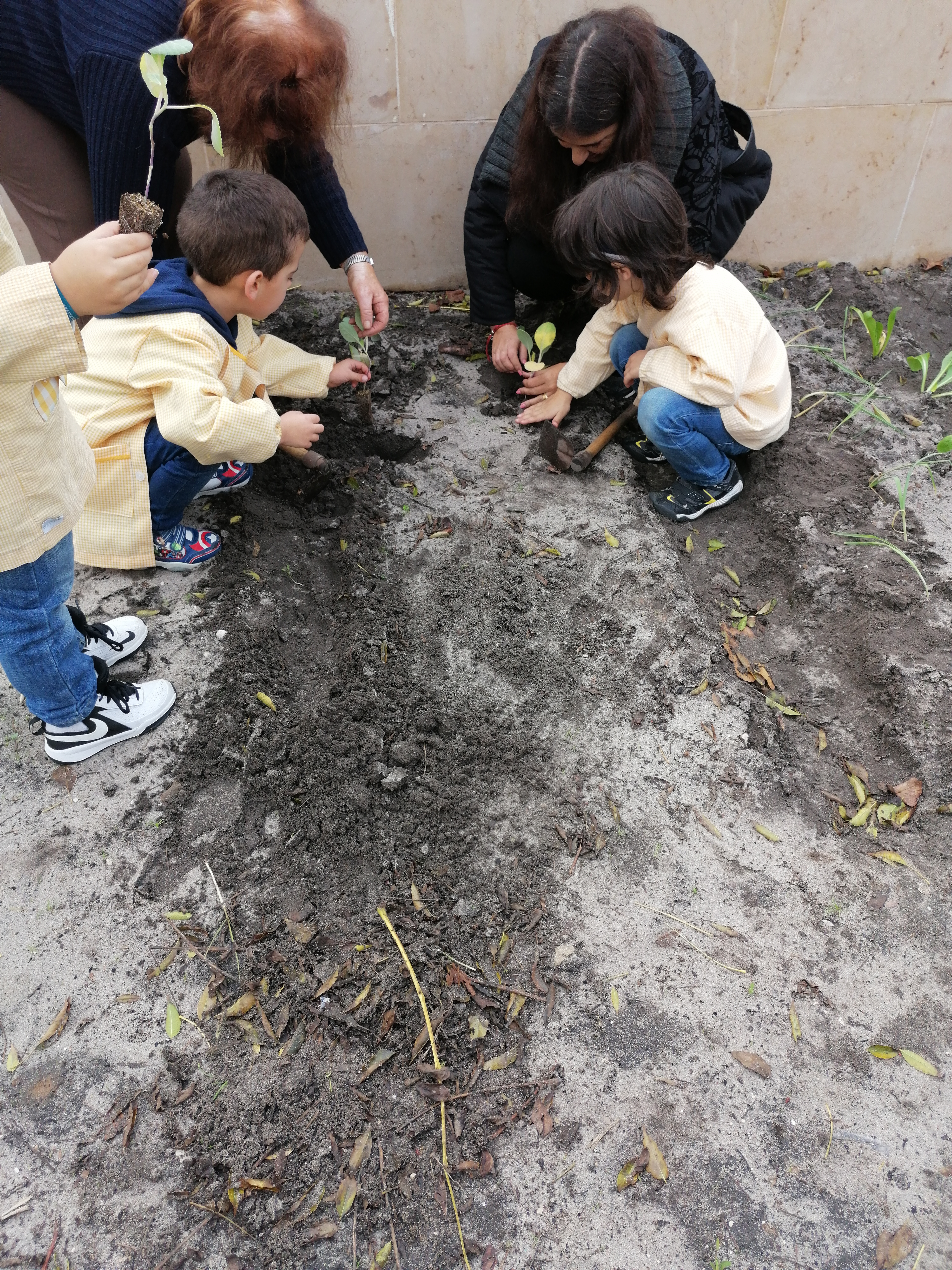 CRIANÇAS DA SALA AMARELA ( DO PRÉ ESCOLAR) A PLANTAR