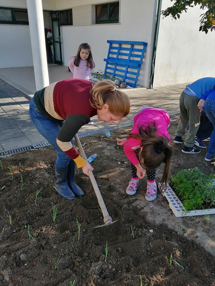 Plantação de alho francês, cenouras, couve e. tomates