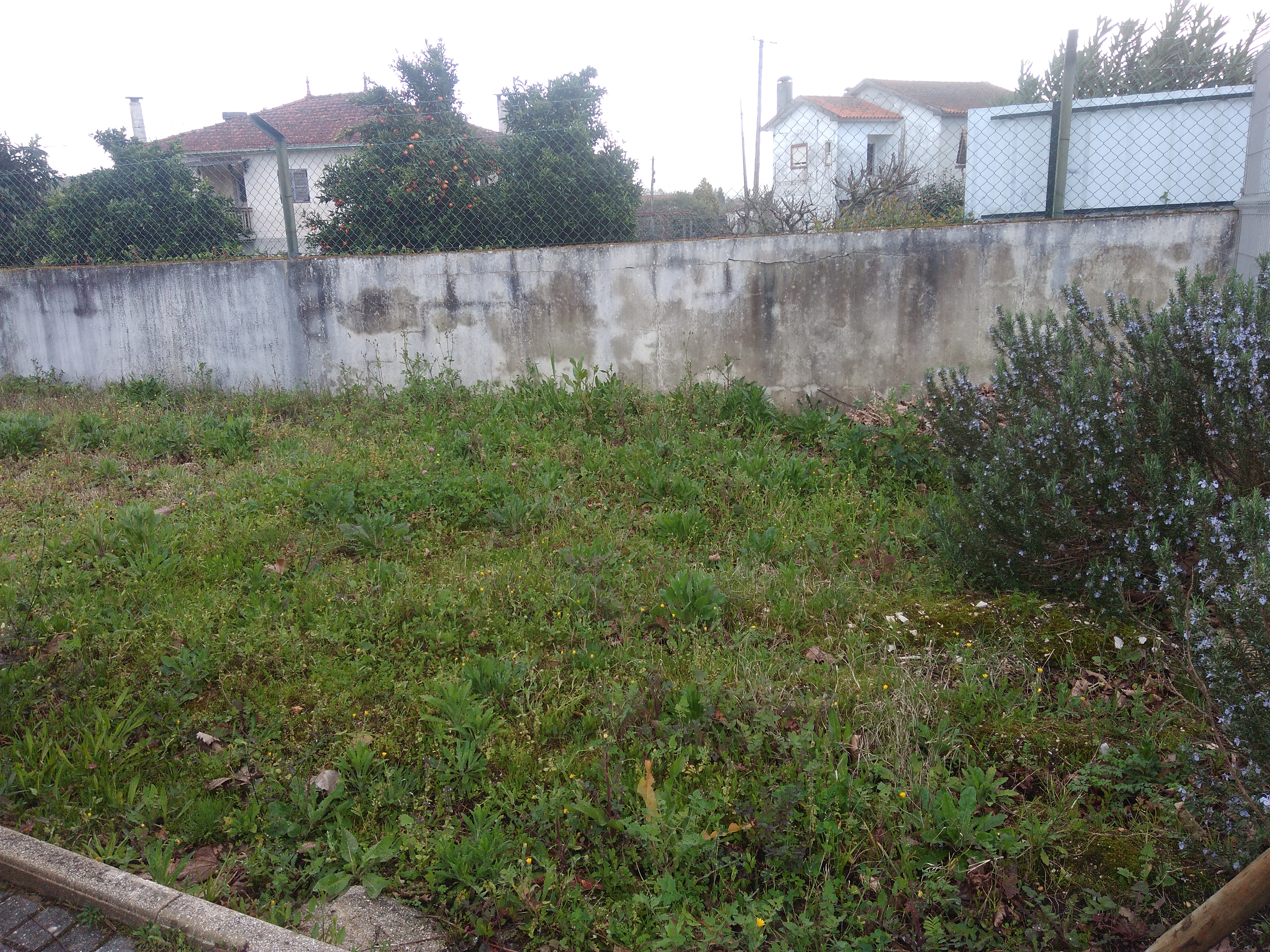 O espaço antes do arranjo do terreno