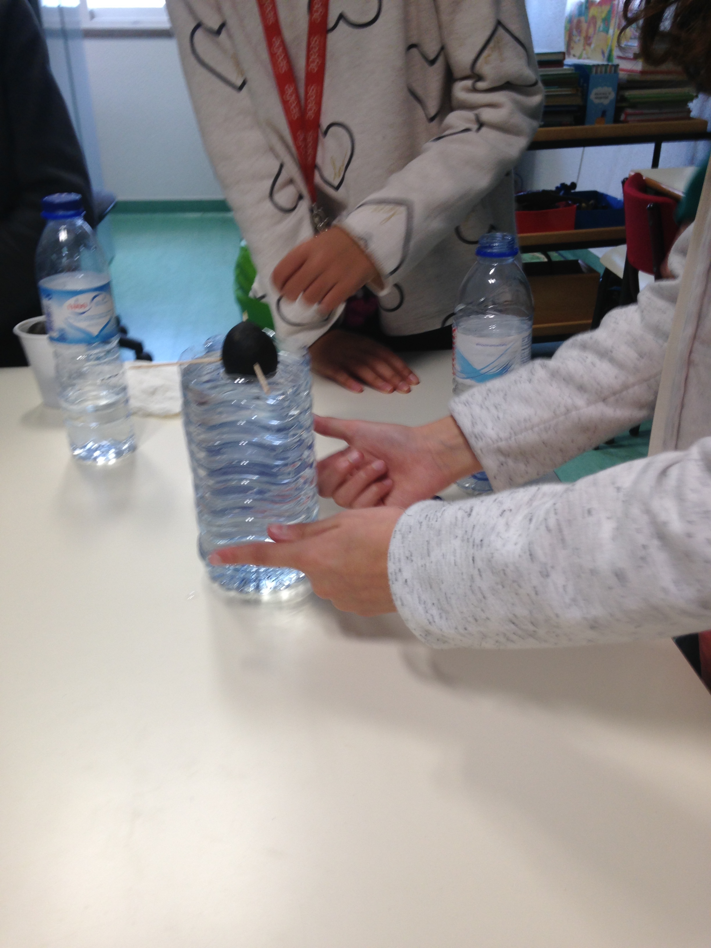 Os alunos que estão a coordenar o projeto das hortas foram às turmas do 1º ciclo, e da CAA ensinar como fazer germinar um caroço de abacate. O objetivo é quando for possivel plantar na horta.Temos seis caroços a germinar.