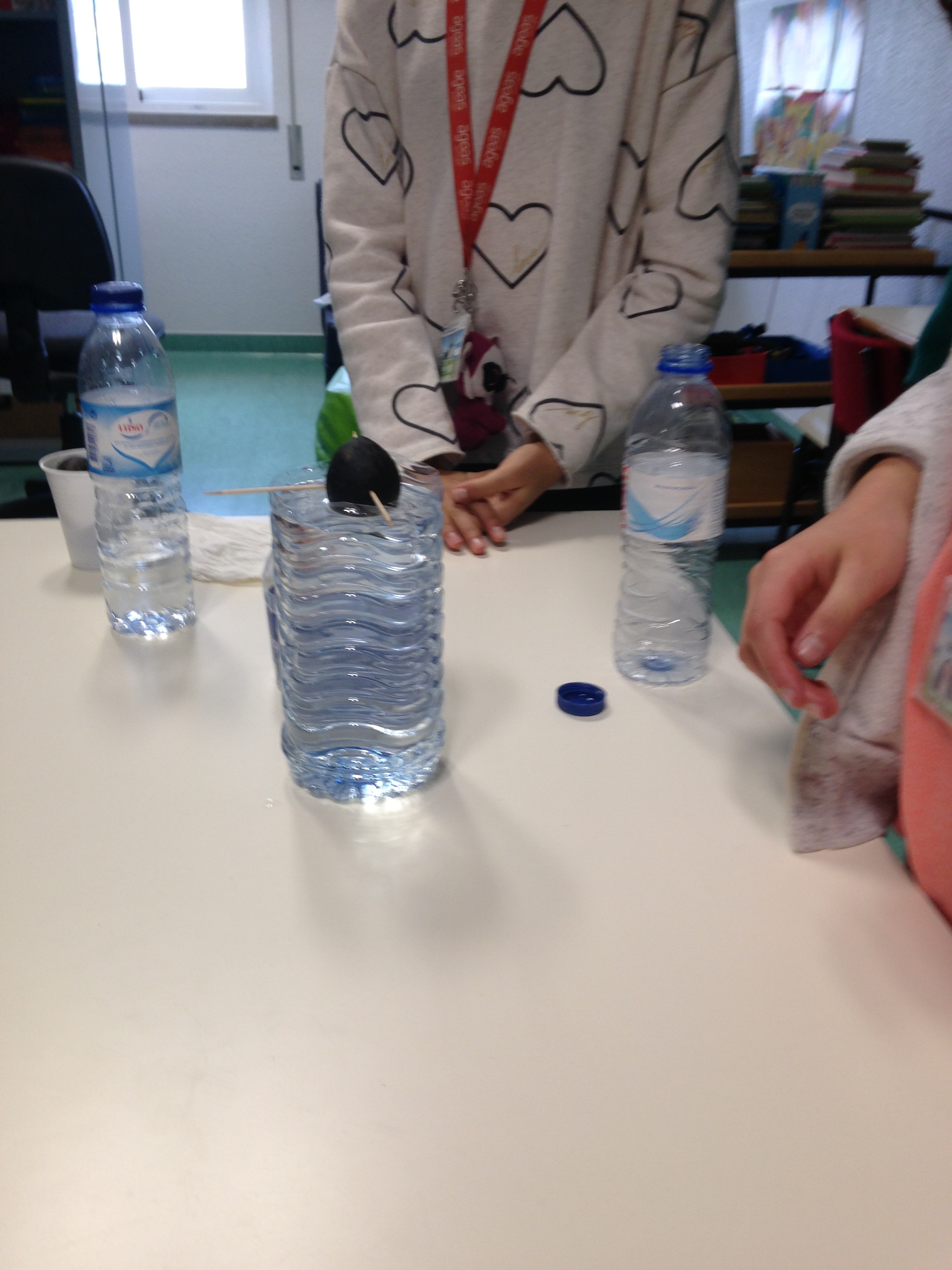 Os alunos que estão a coordenar o projeto das hortas foram às turmas do 1º ciclo, e da CAA ensinar como fazer germinar um caroço de abacate. O objetivo é quando for possivel plantar na horta.Temos seis caroços a germinar.