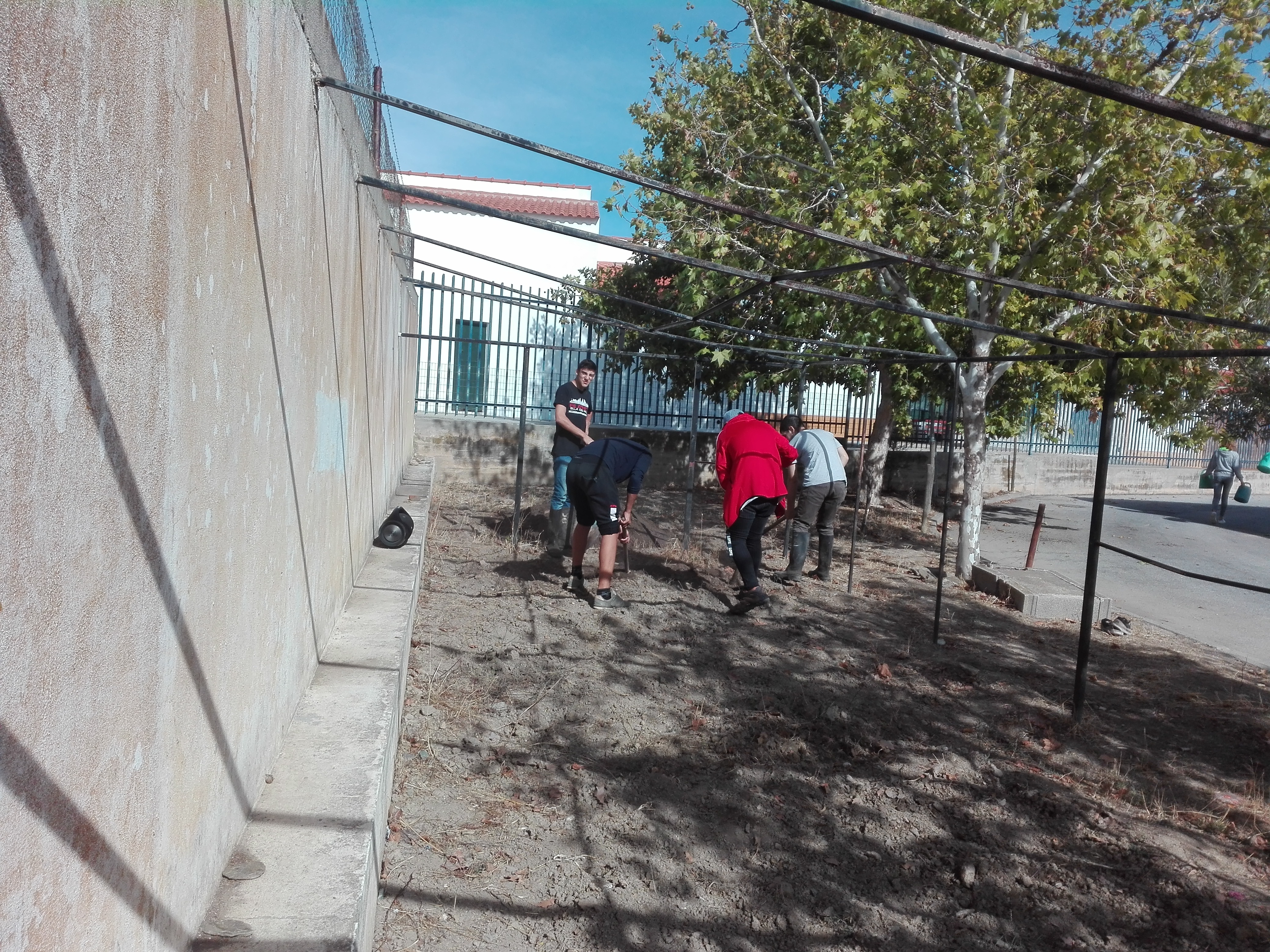 Preparação do terreno
