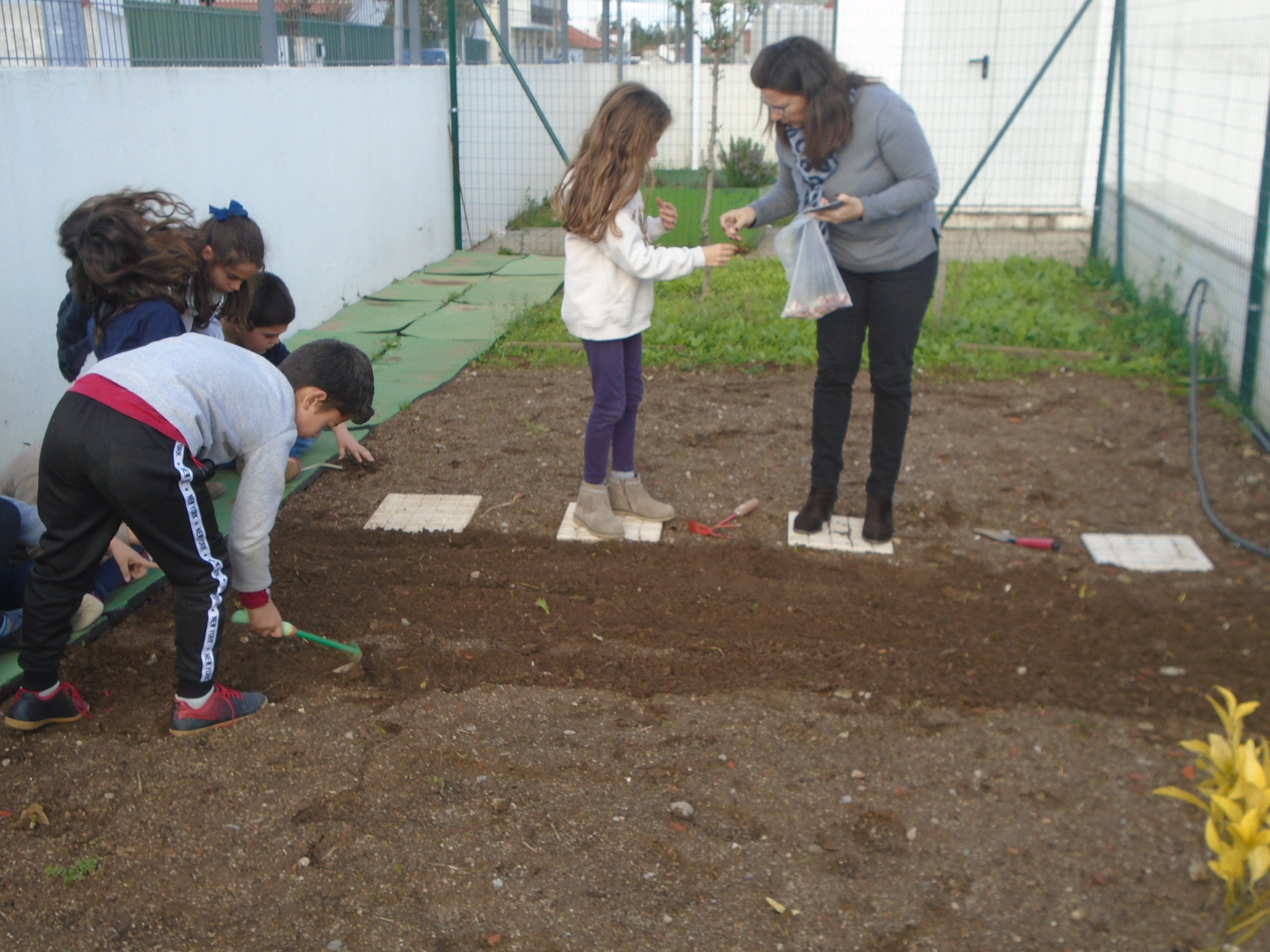 Cada turma era responsável por um produto para semear ou plantar.
