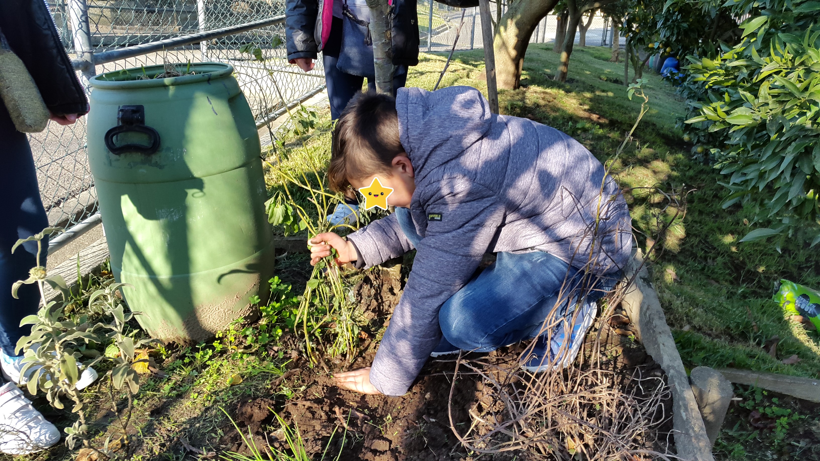 Preparação da horta para fazer as plantações - arranque de ervas daninhas.