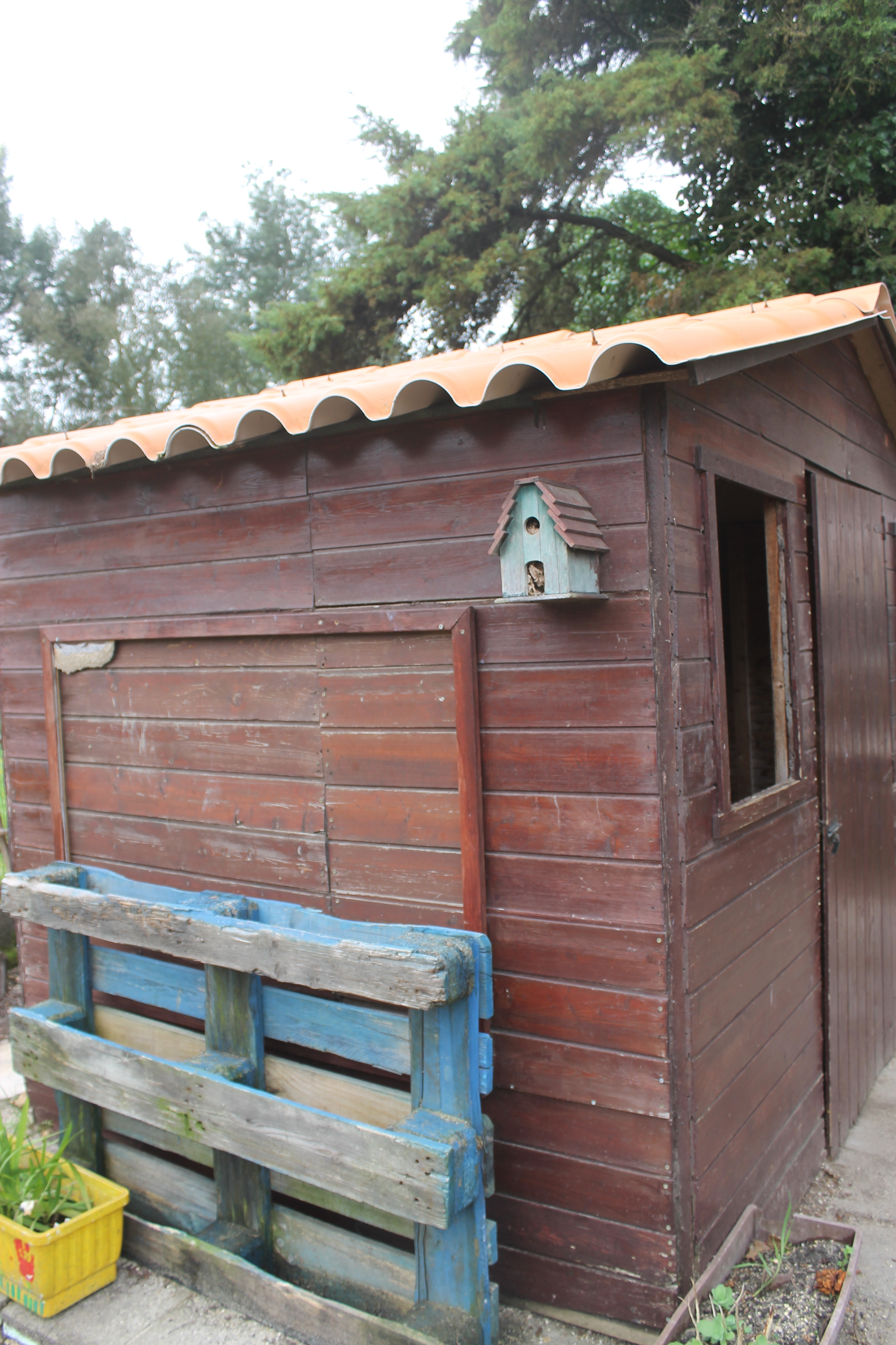 Cabana de arrumos e ninho para pássaros