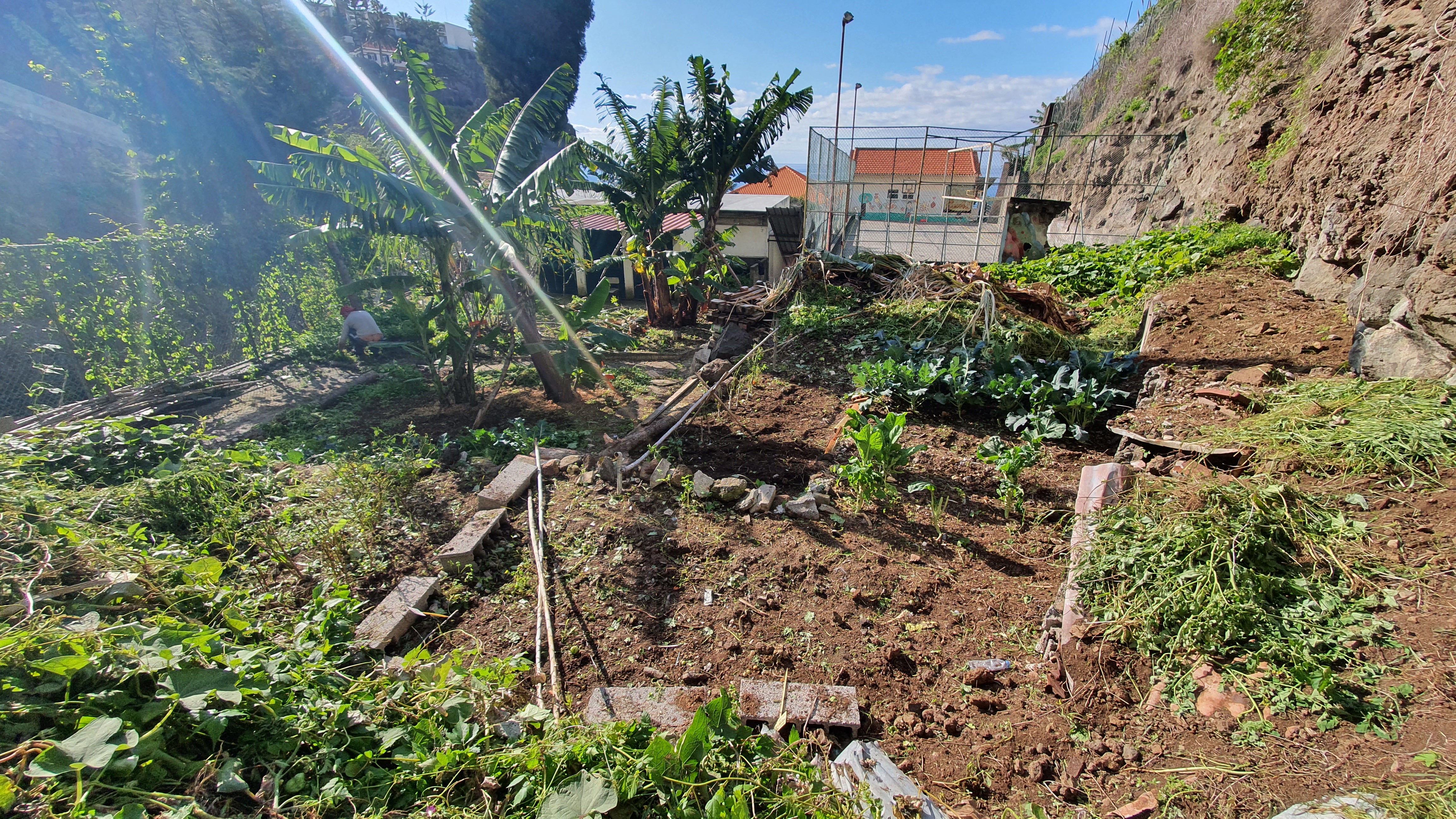 Horta Superior Preparação do terreno.