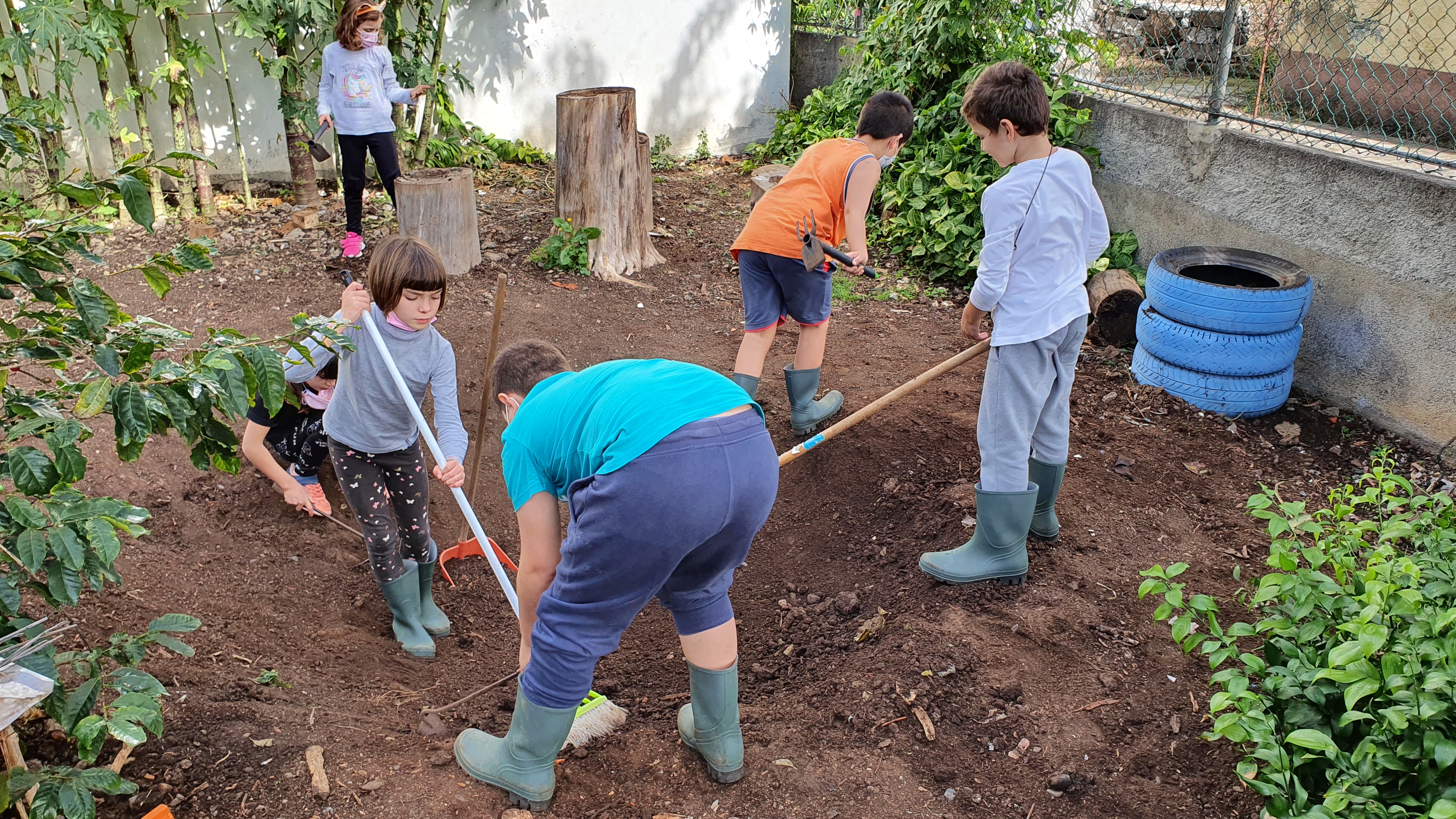 Preparação de terrenos e exploração de ferramentas.