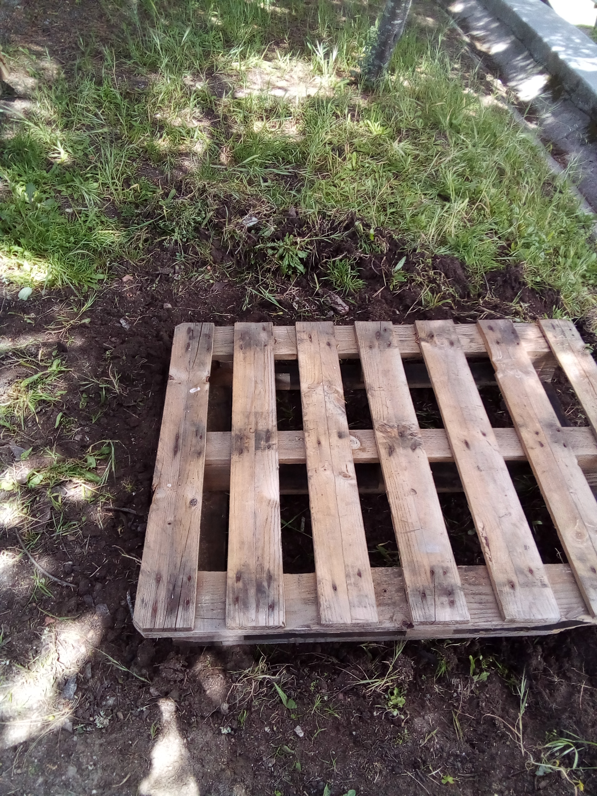 Preparação do terreno e colocação das paletes.