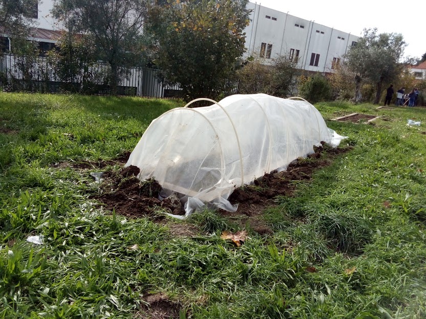 Uma das pequenas estufas (em 11/11/2020)