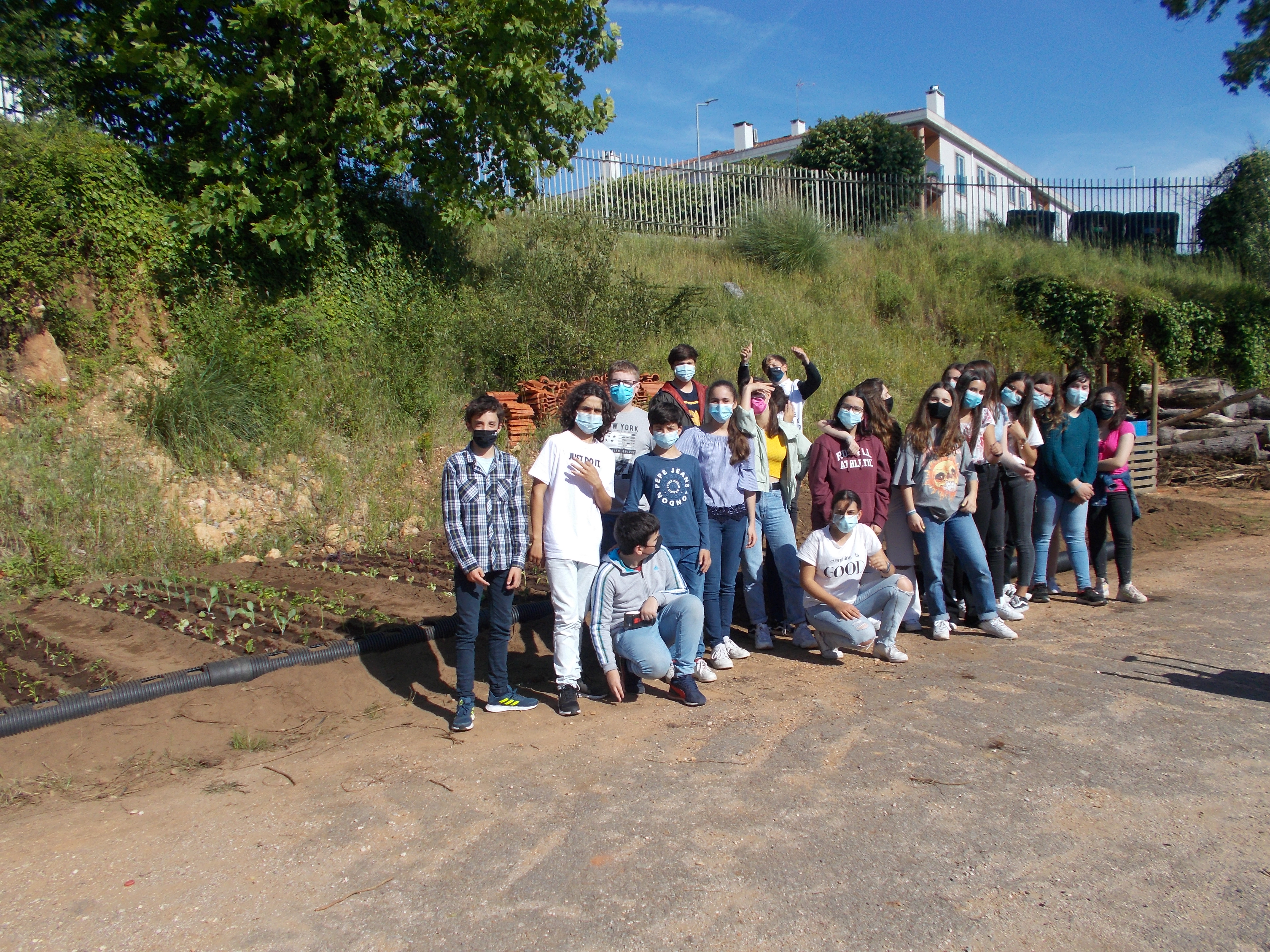 Grupo de trabalho