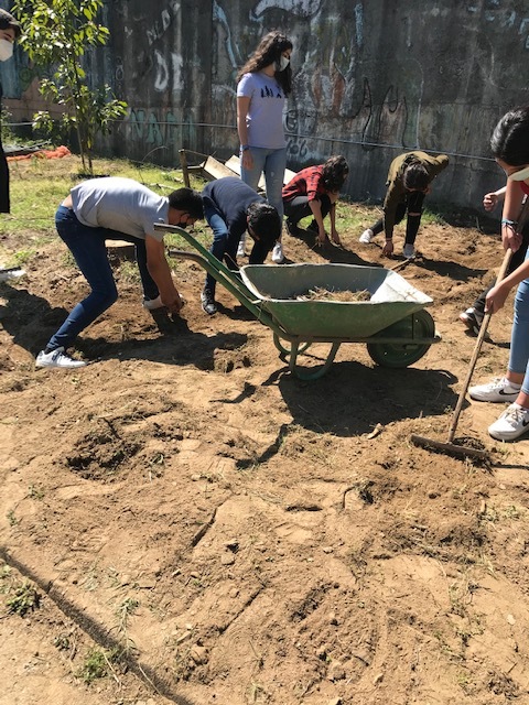 Preparação da terra para as plantações da primavera.