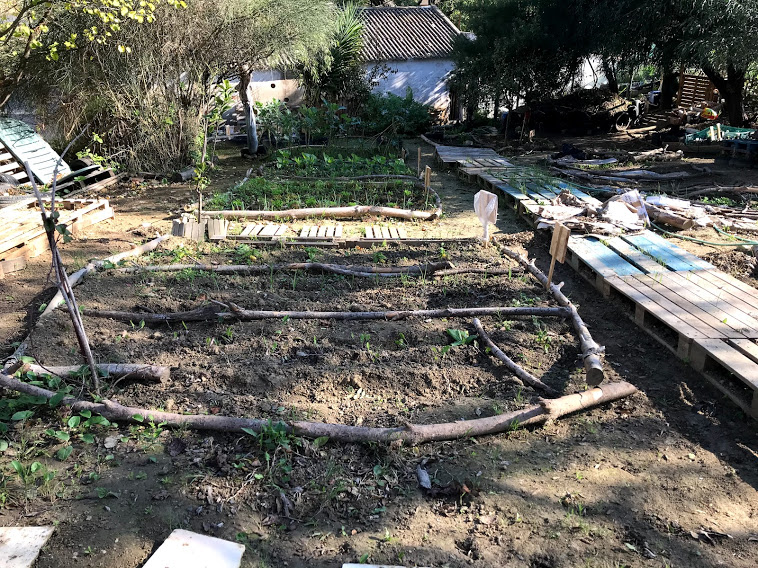 Uma horta em terreno inclinado implica algumas estratégias para evitar a escorrência do solo. Neste caso usamos ramos da poda de árvores do espaço da escola para delimitar canteiros e manter o coberto vegetal.