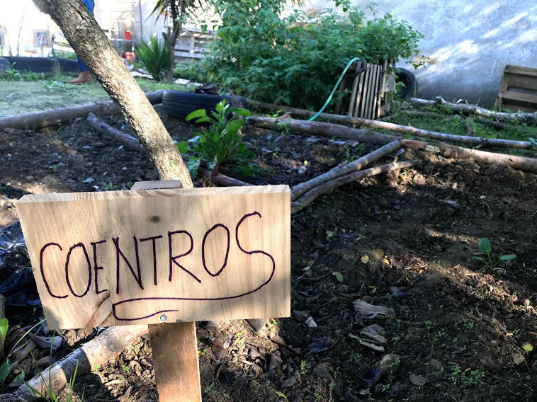 O cantinho das aromáticas