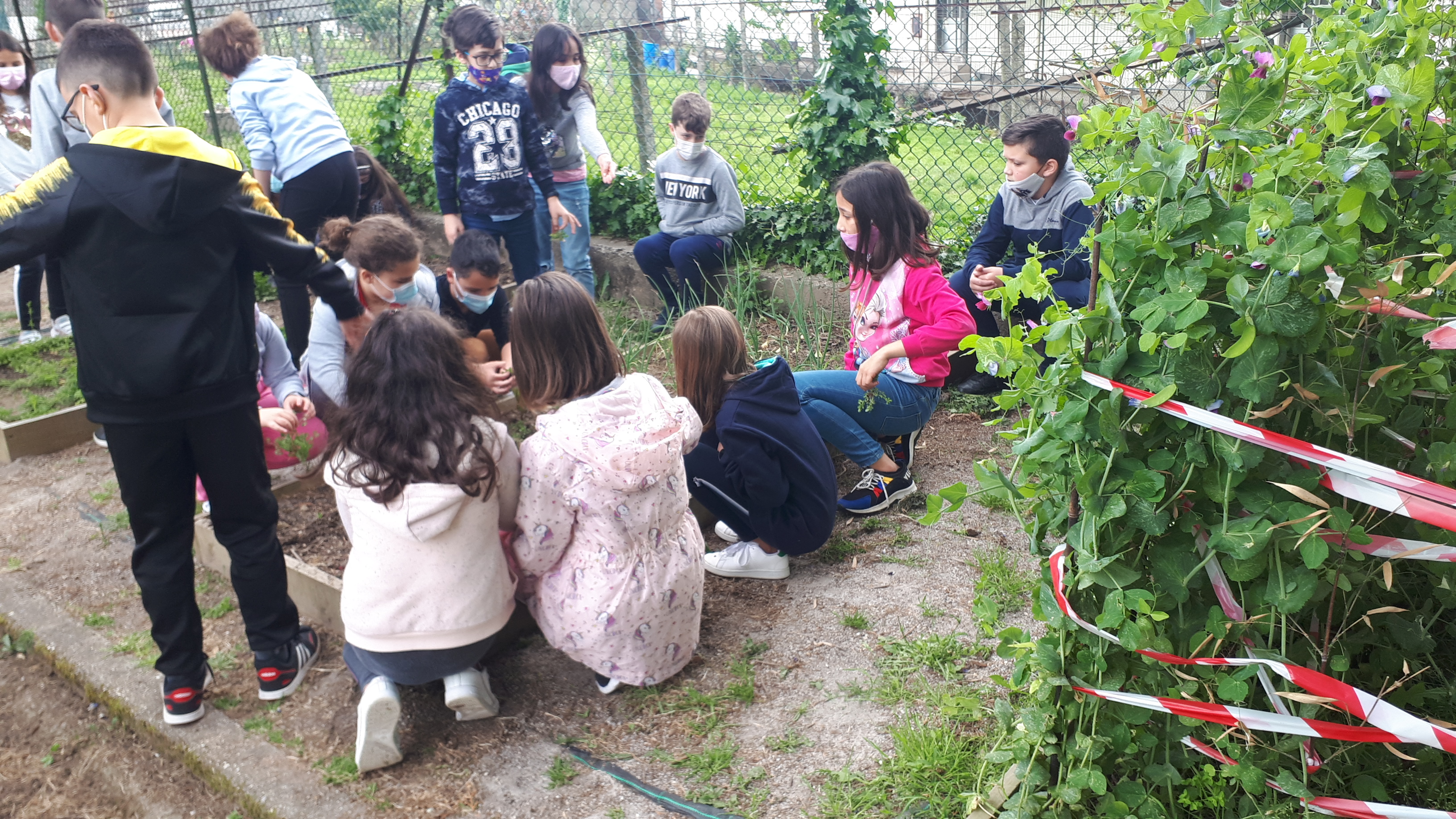 Cuidando da horta.
