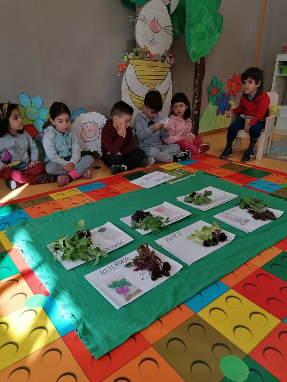 Observação das plantas que farão parte da horta