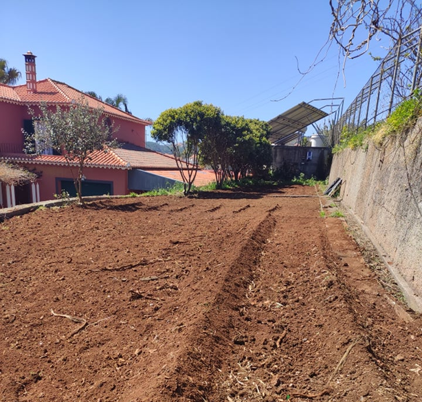 Panorâmica da horta - após uma intervenção de limpeza