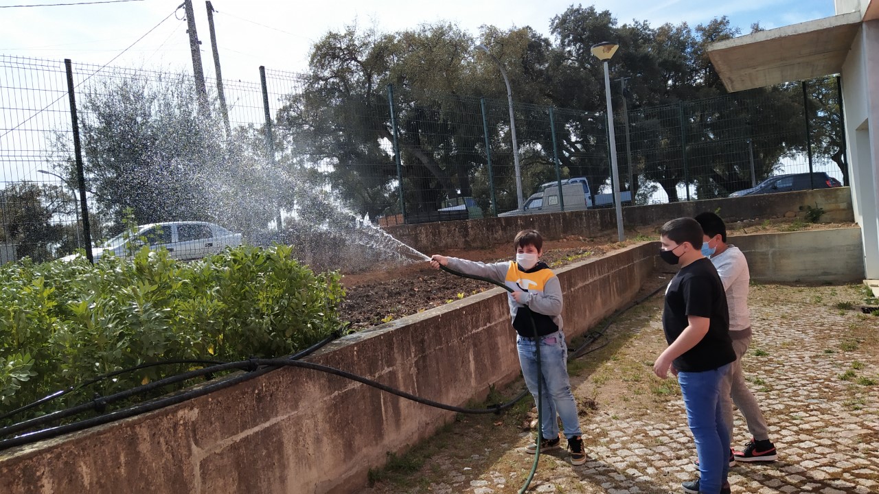 Os alunos do 6ºB ajudam na rega da horta.