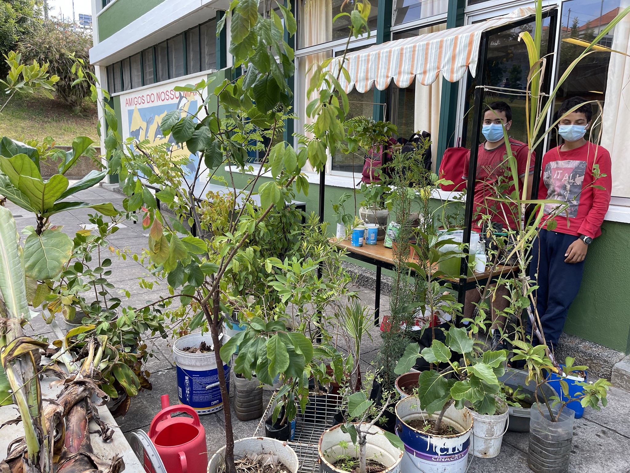 Feira para a comunidade com os produtos da horta, pomar e estufa