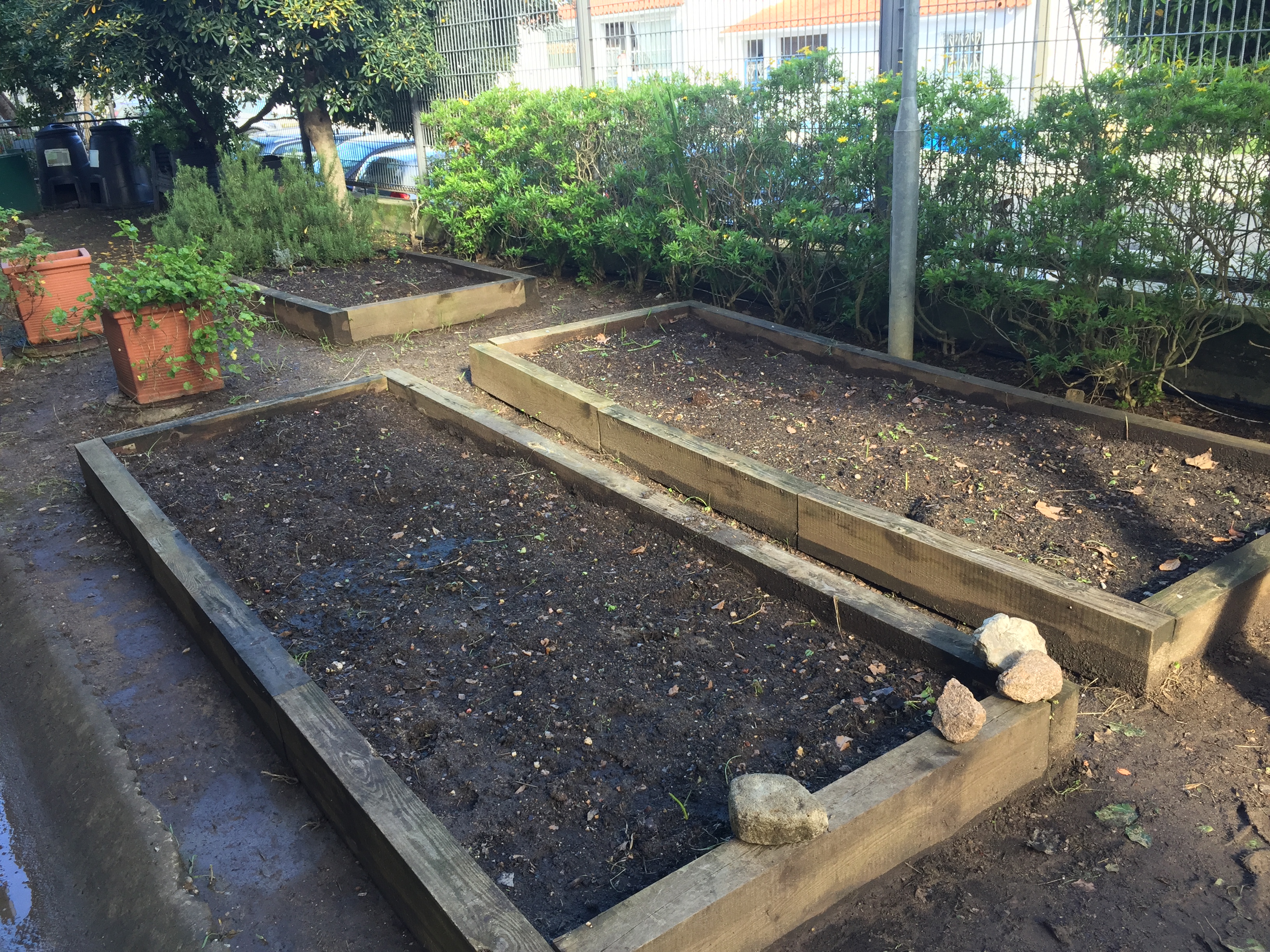 O espaço para plantar/semear.