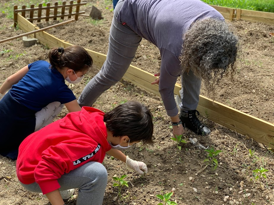 Plantação de produtos por parte dos alunos.