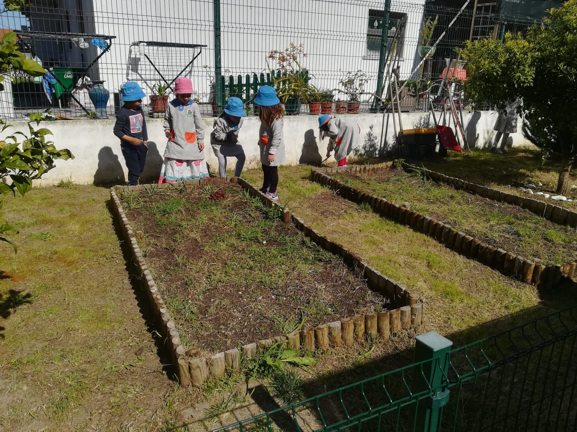 Primeiros passos na organização do espaço da horta