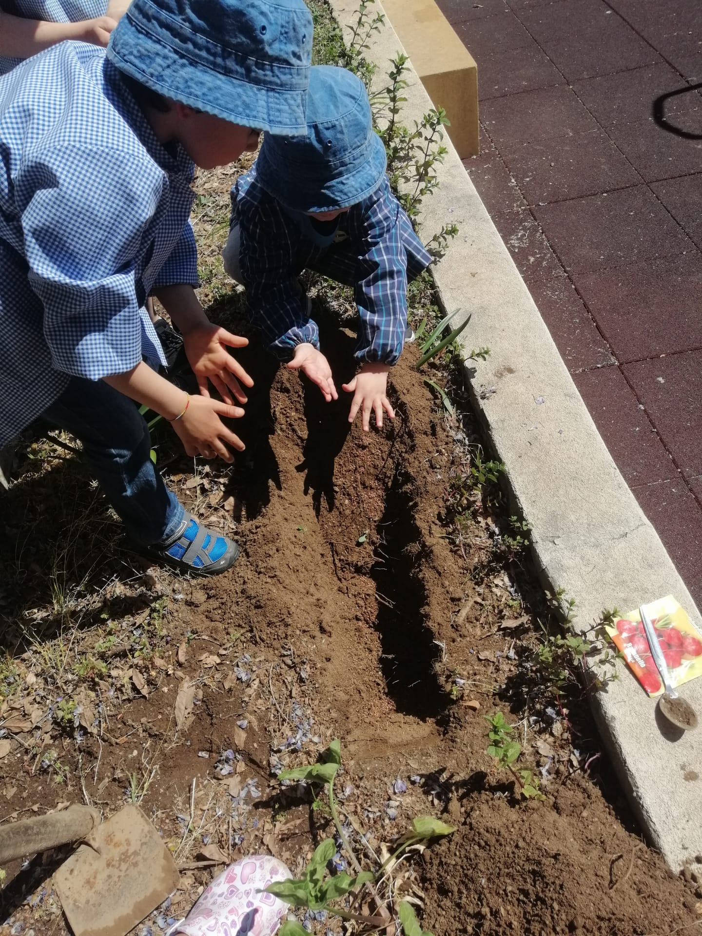 Tempo de semear e plantar