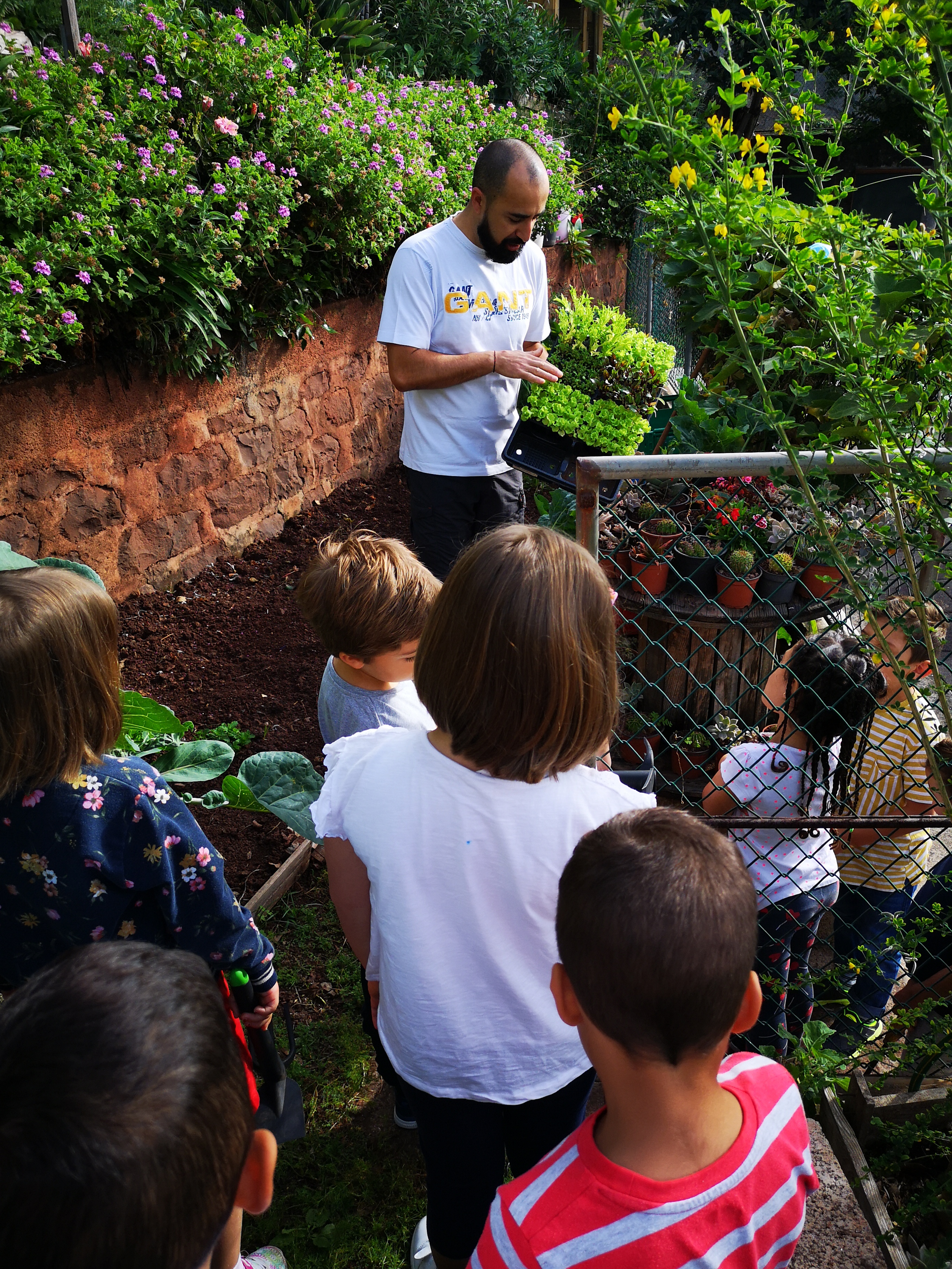 Trabalhos de plantação com os meninos da PréII