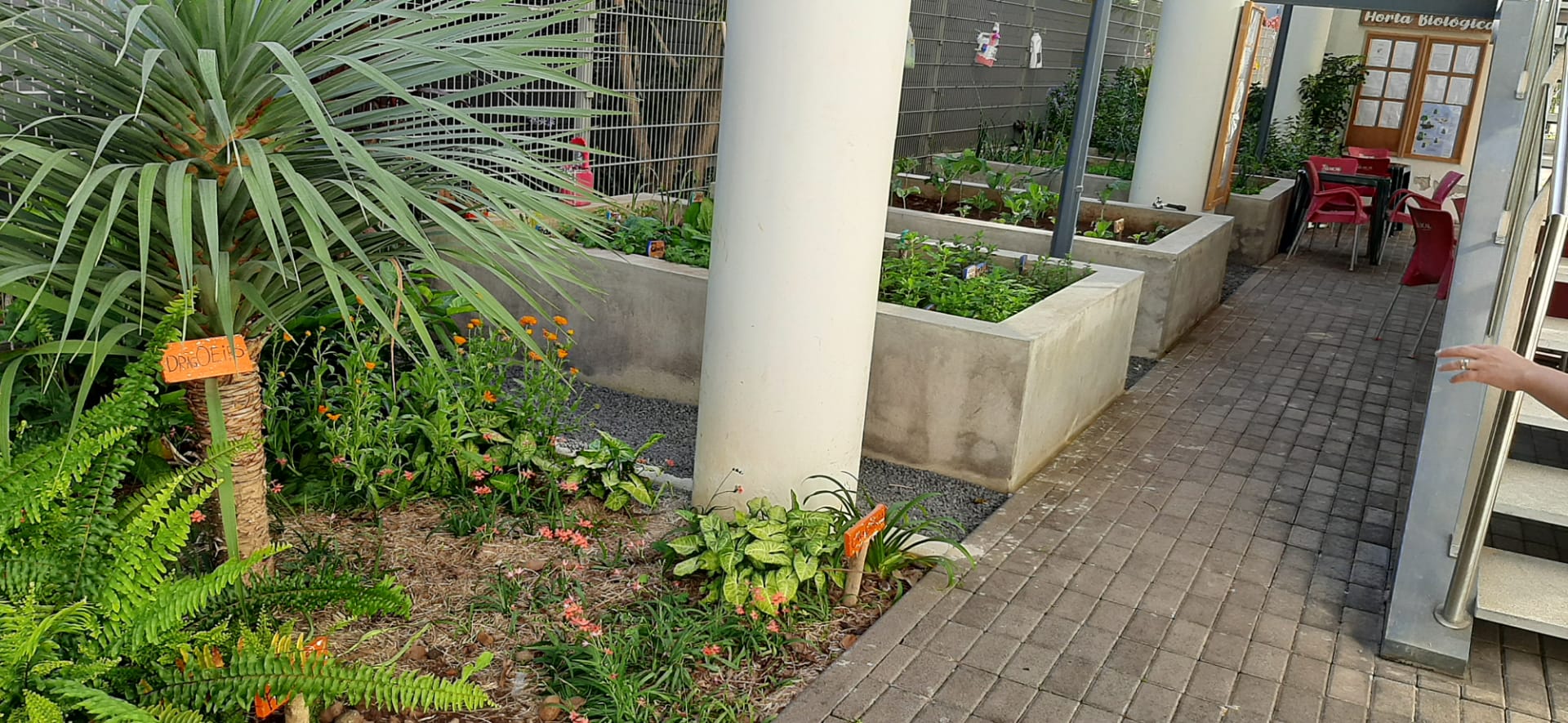 Os diversos canteiros que compõem a zona "norte" da nossa horta, respetivos ninhos de pássaro e flores coloridas para a atrair abelhas