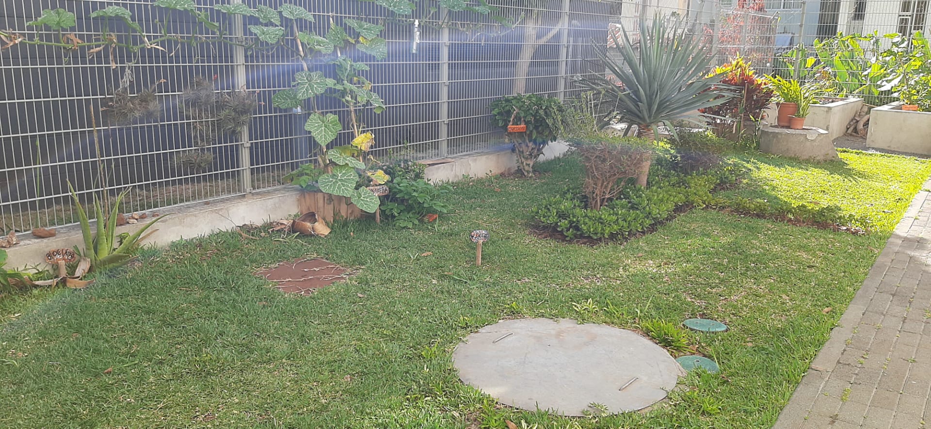 Zona de piquenique e de aulas ao ar livre