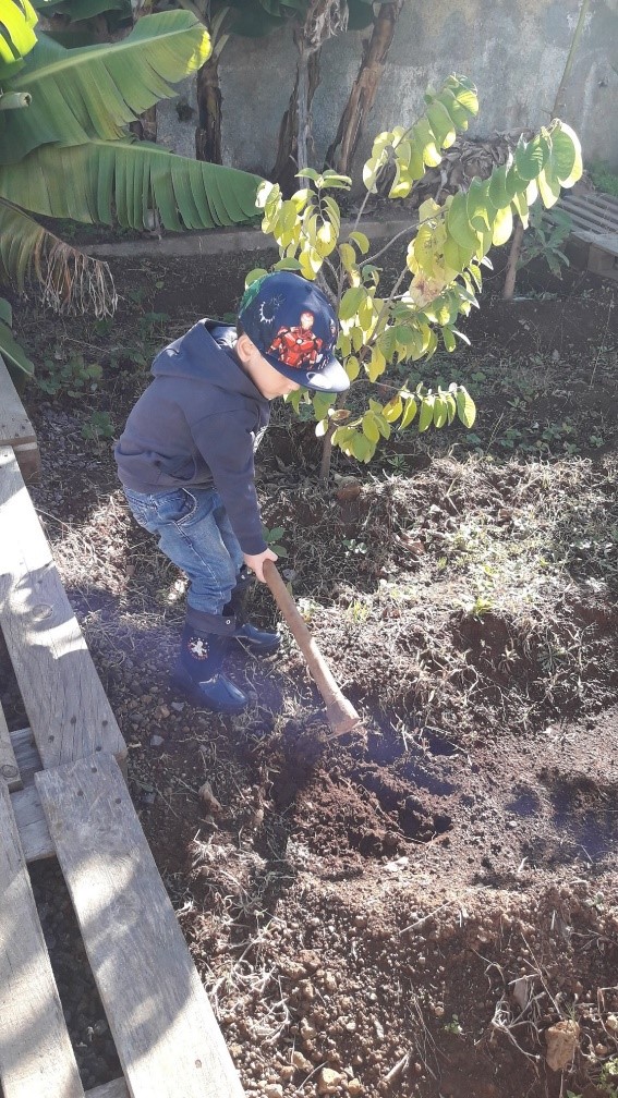 Limpeza do terreno realizada pelos alunos do pré-escolar, docentes, auxiliares e assistentes operacionais.