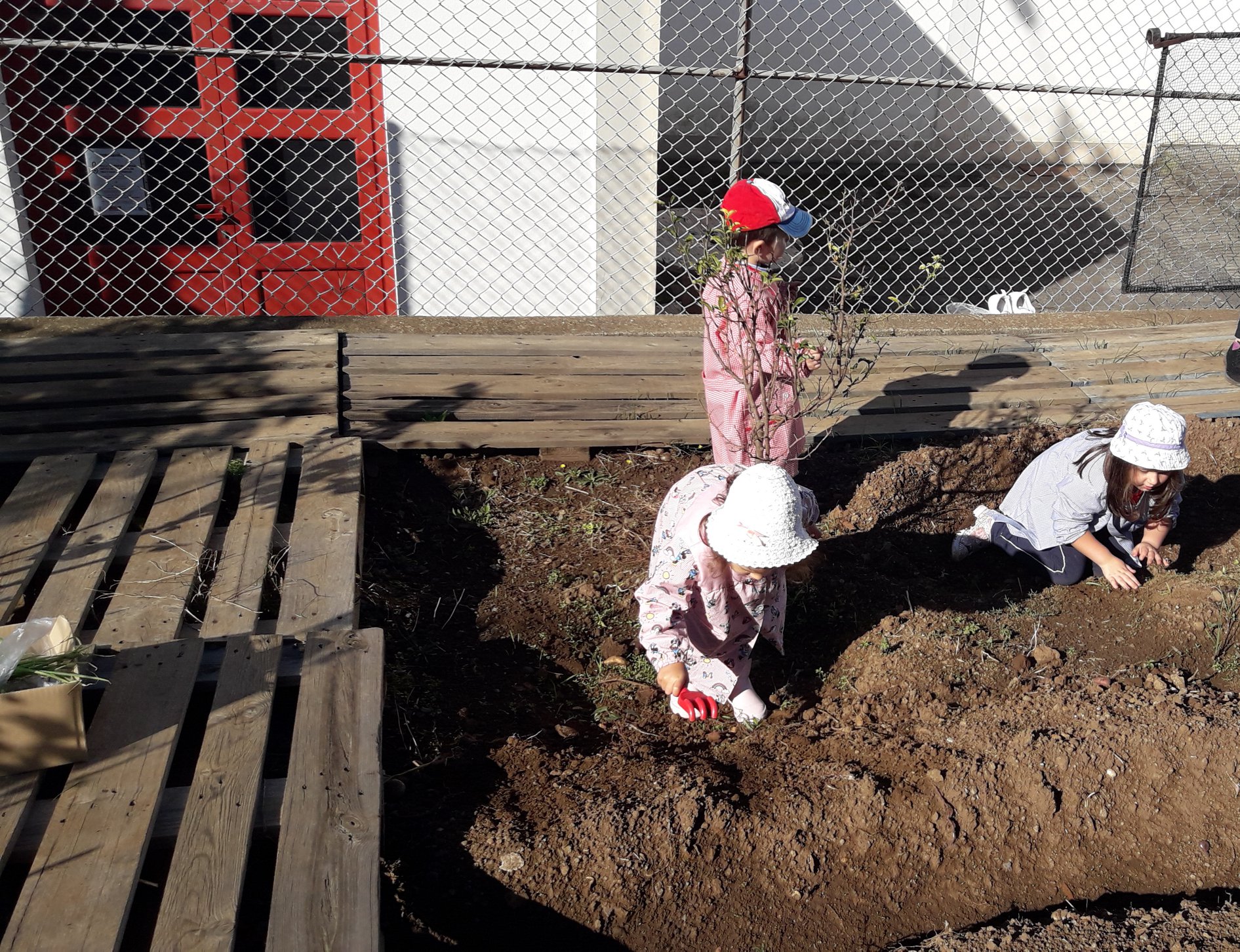 Preparação do terreno e exploração da terra pelos alunos do pré-escolar. Realização de brincadeiras na terra.