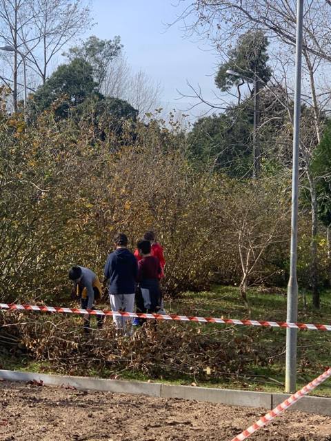 Limpeza do Terreno