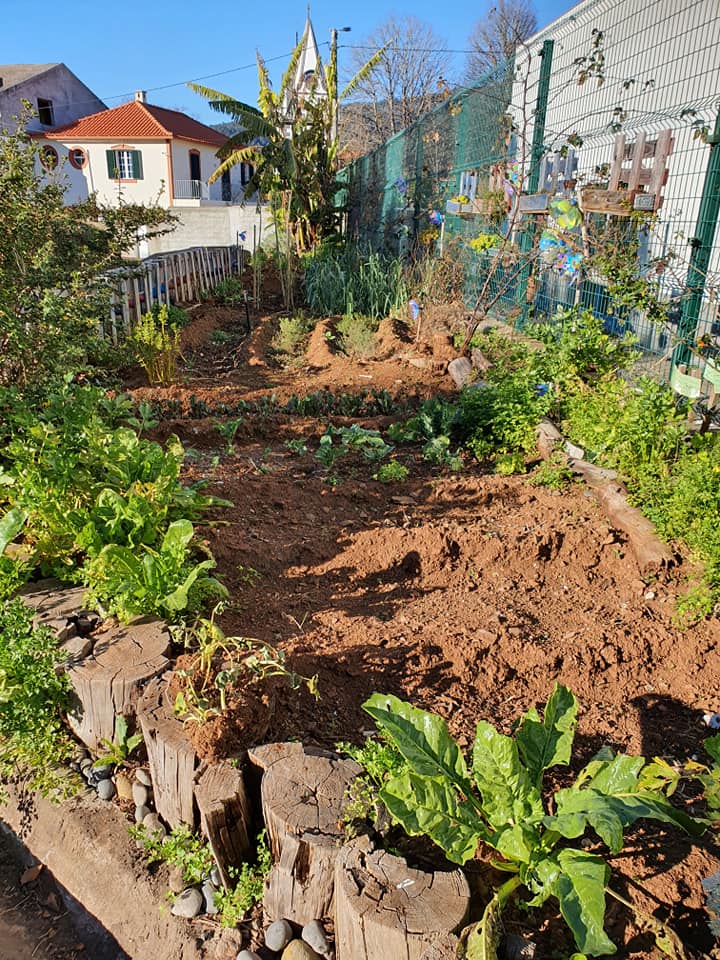 Horta preparada para receber as novas plantas