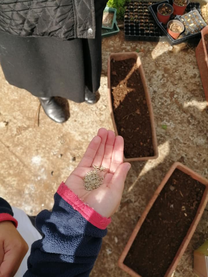 Semear o que apanhamos das plantas já existentes.