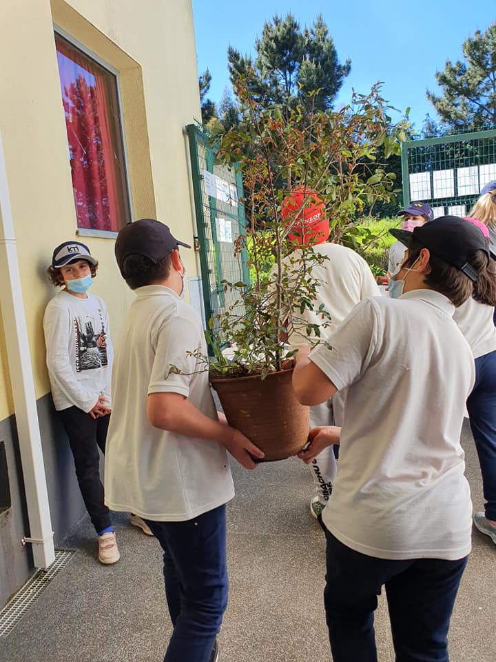 Transporte de plantas para uma nova casa