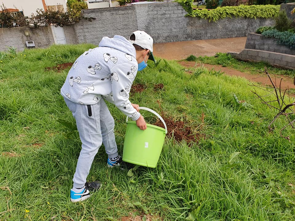 Rega com a água das chuvas