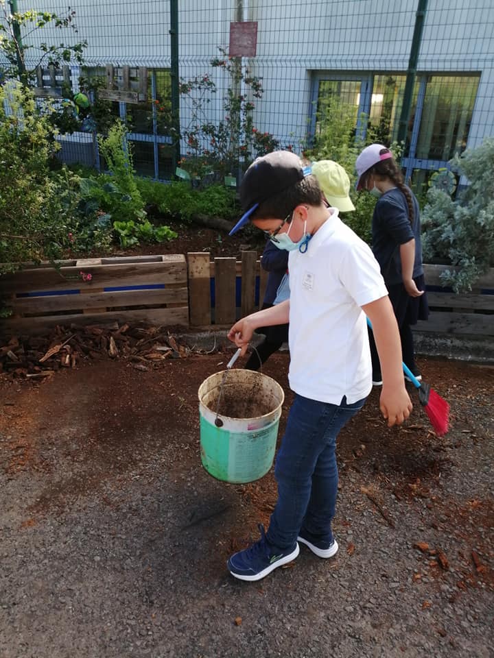 Uso do adubo natural da Quinta Pedagógica para fertilizar a terra