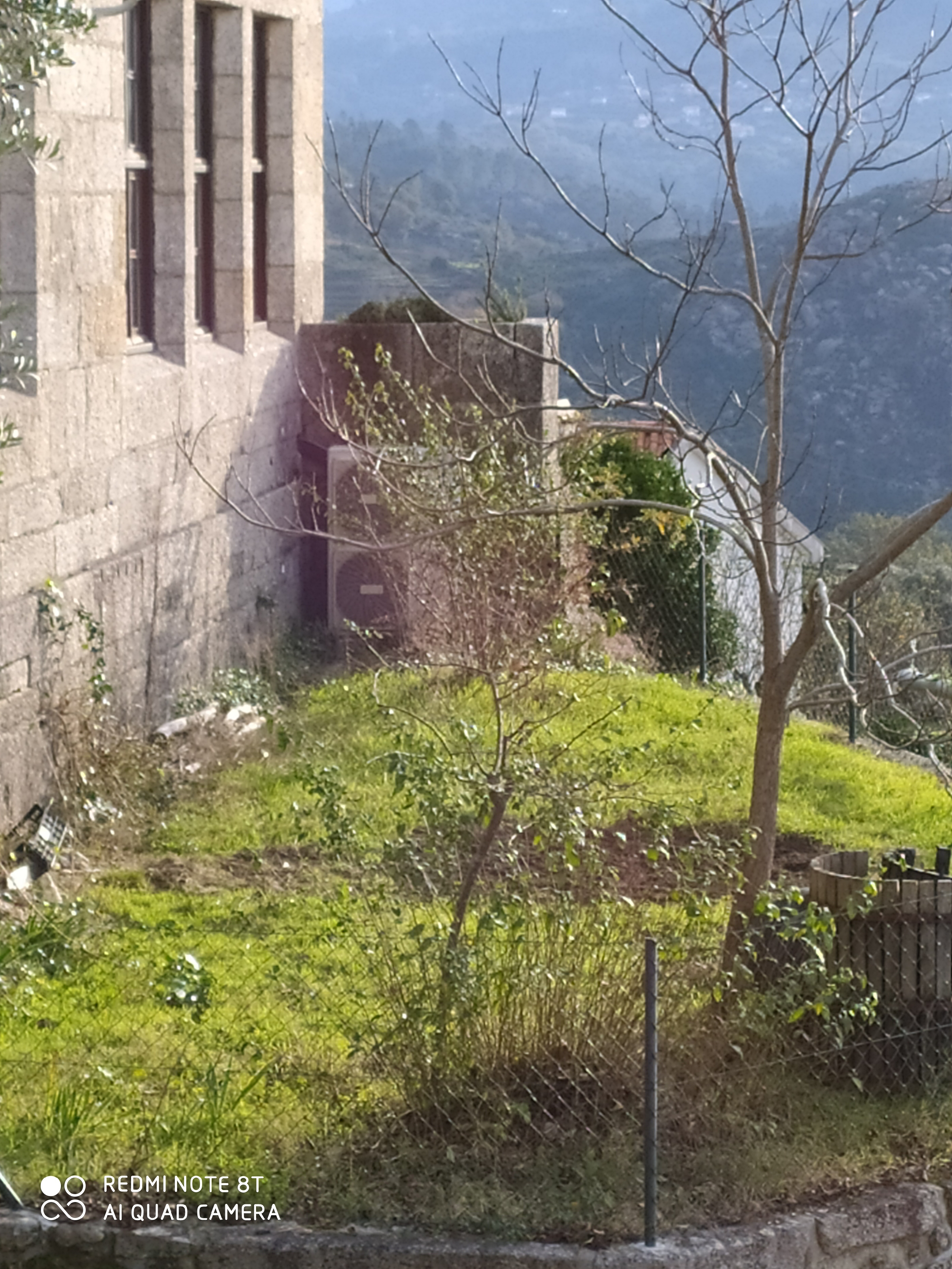 Local a instalar a horta.