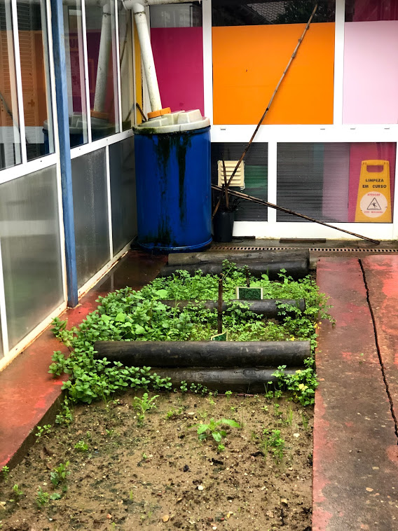 Salsa, hortelã, poejos e deposito de água