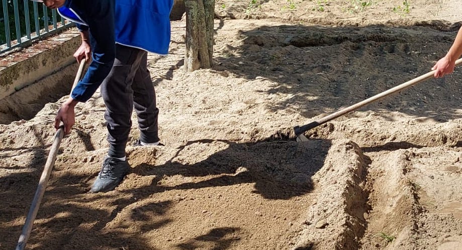 Preparação do terreno para as sementeiras.