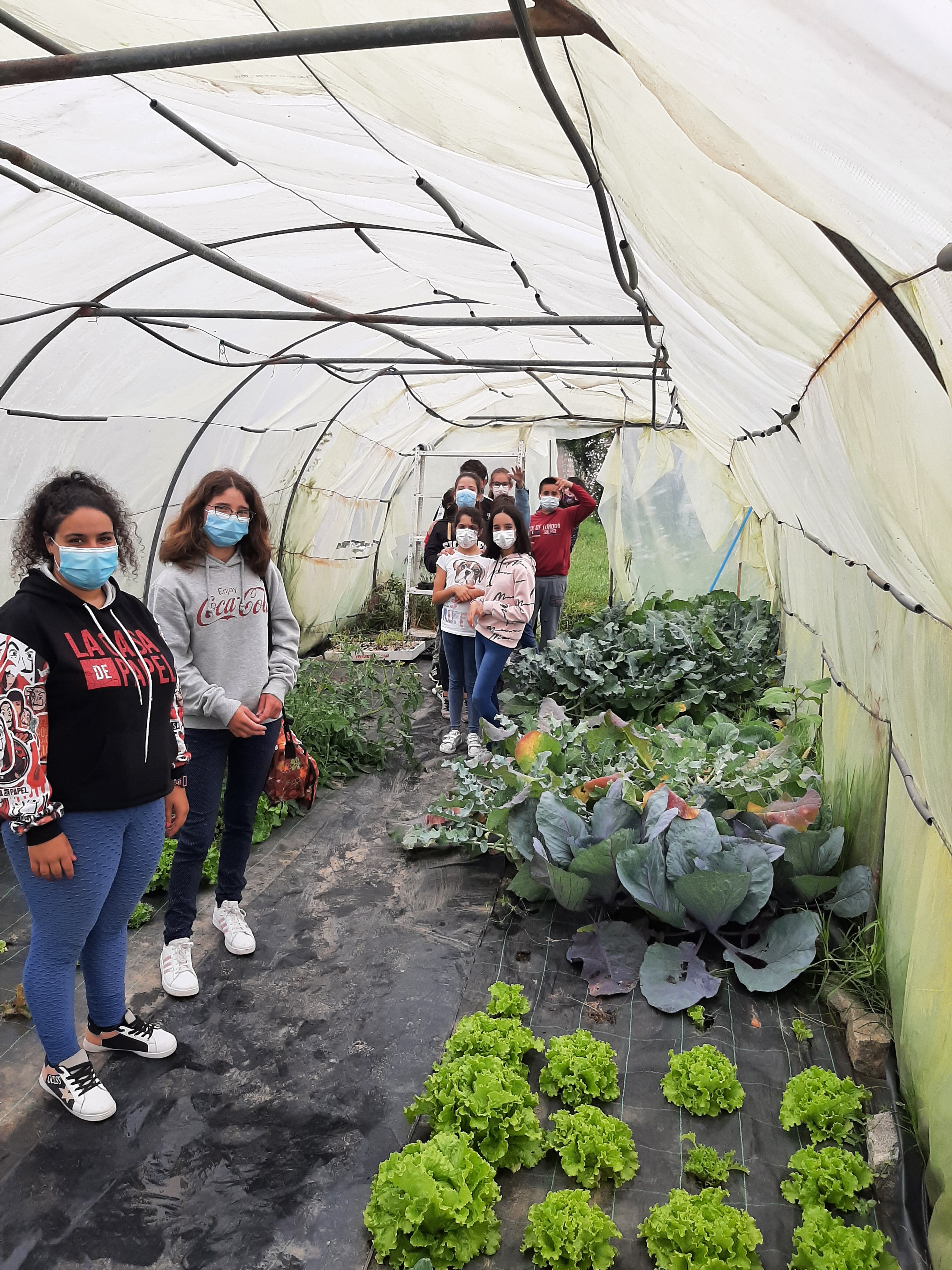 Visita de alunos aos trabalhos desenvolvidos na horta.