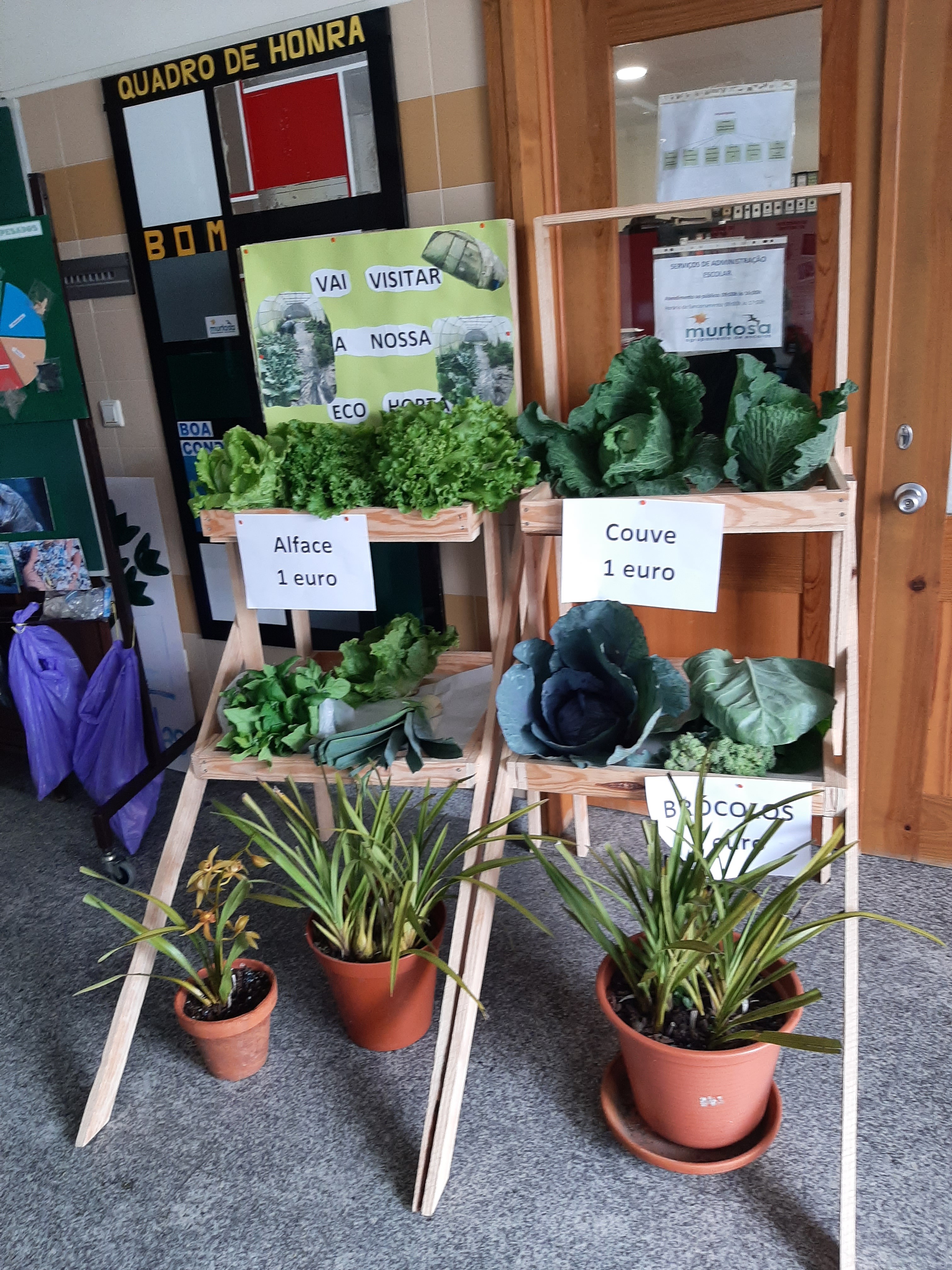 Feirinha das hortícolas.