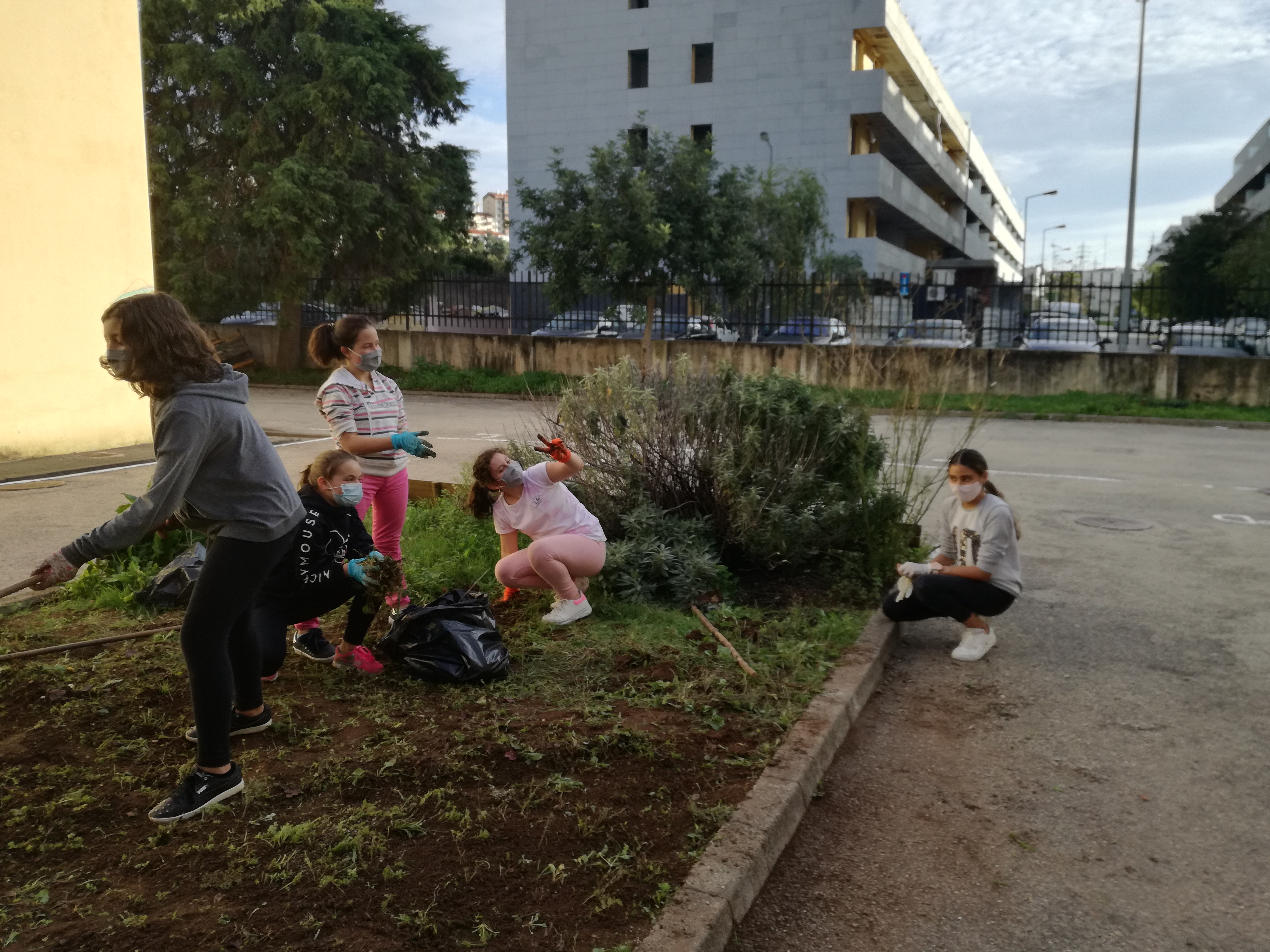 Trabalho inicial de preparação do terreno