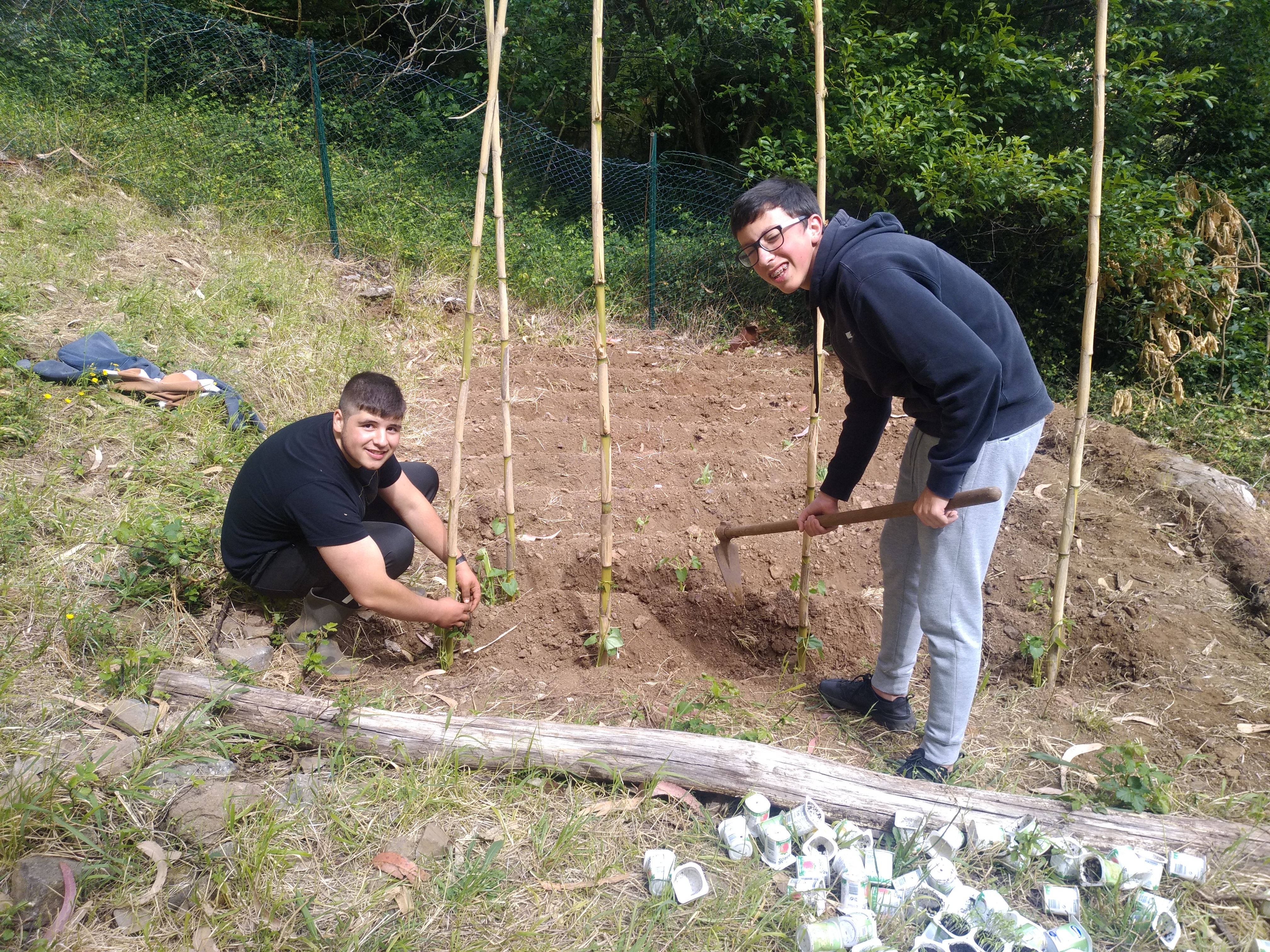 Plantação.