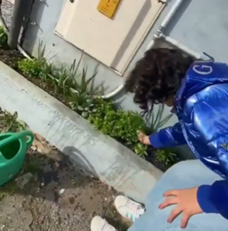 A Ana Jorge a ajudar a avó a cuidar da salsa.