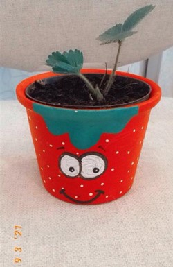 O vaso pintado pela Eunice para receber o seu morangueiro.