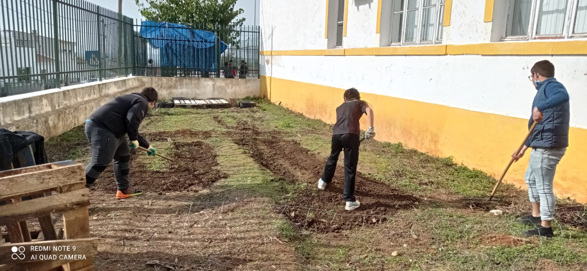 Preparação do terreno