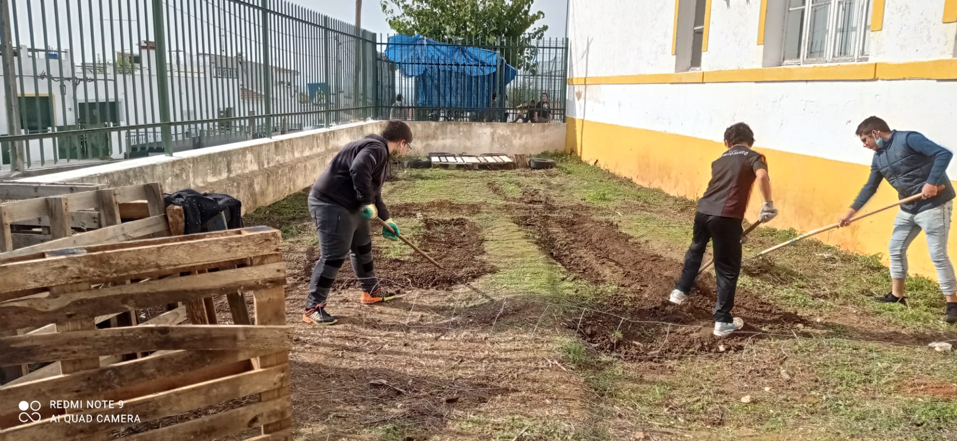 Preparação do terreno