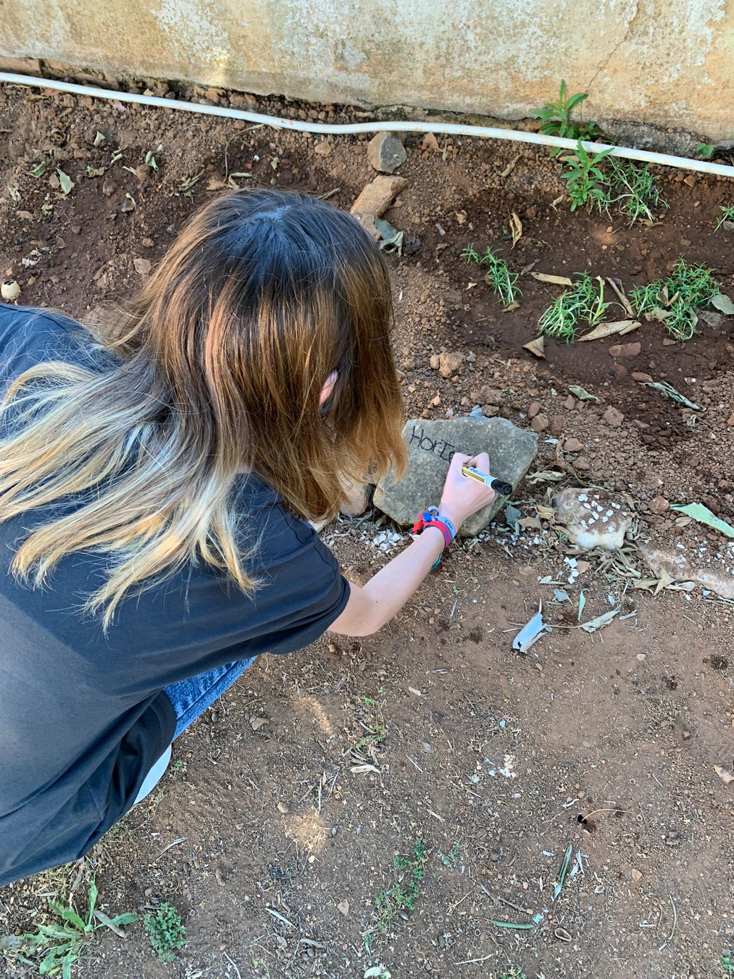 Identificação das ervas aromáticas